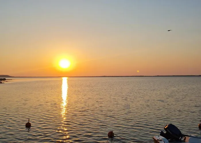 Paisible Maison A L'ombre Des Pins *